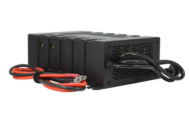 Lion Energy Savanna battery charger