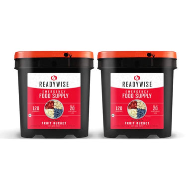 240 Servings of ReadyWise Freeze Dried Fruit