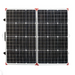 Lion Energy 100W 12V Solar Panel front view