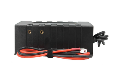 Lion Energy Savanna battery charger - Side View